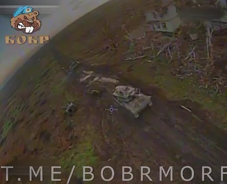 ������ ����� FPV-����� "������" �� ����� Leopard 2A4 �� ����������� �����������
