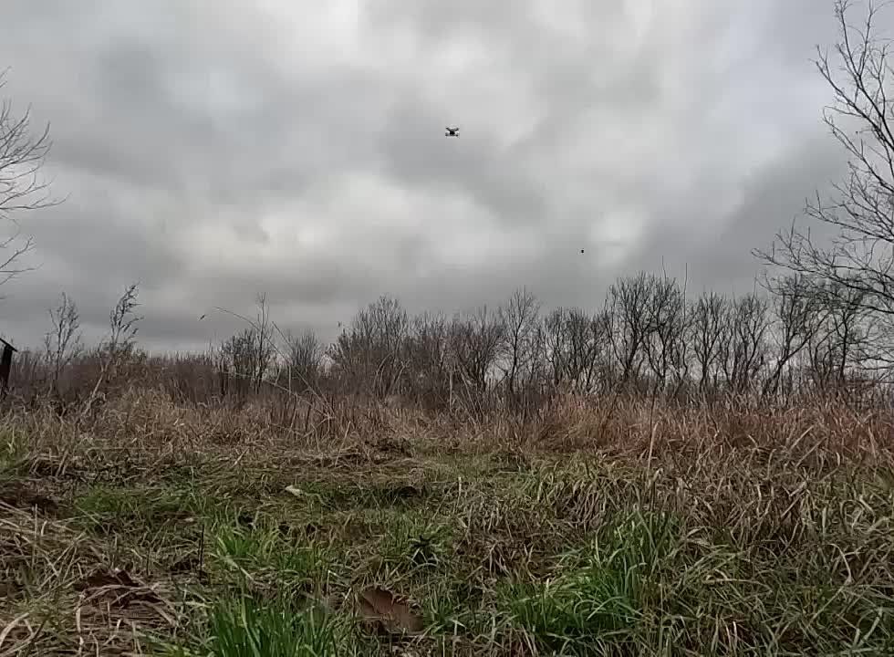 ������ ���������� ������������� �� ��, ������� ��������� FPV-����� ��� �������������� �������������� ���������