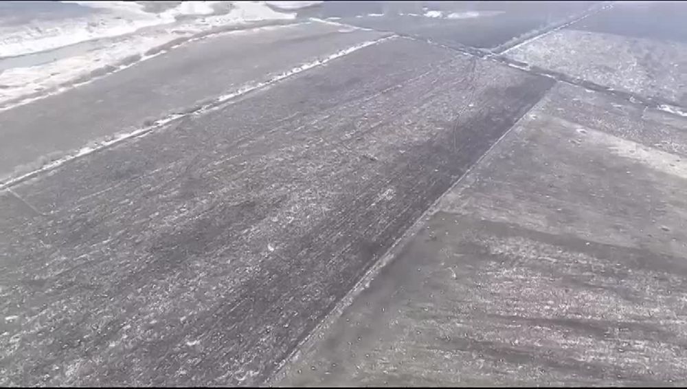 Обозреватель Forbes признал, что ВСУ впервые потеряли немецкий танк Leopard 1A5