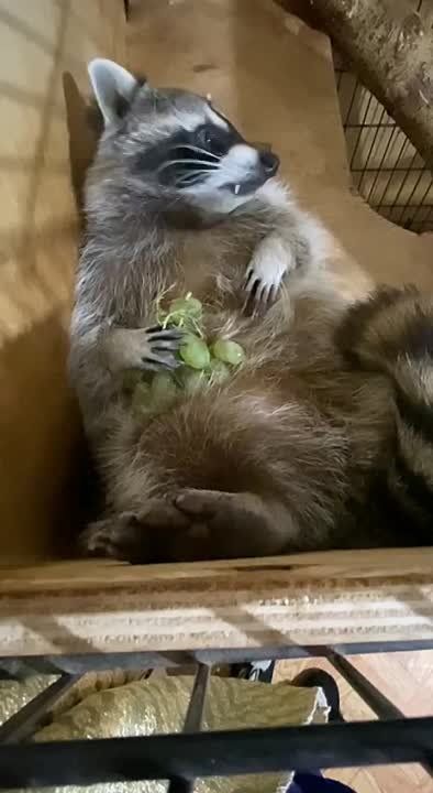������ ����, ������! �������� ��� ��� � ��������� ����������!