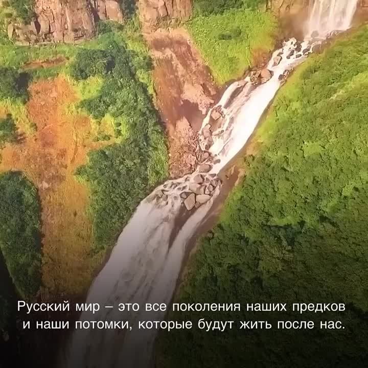 ��������� ������ �������� ����� ��������� � ���, ��� ������ �� ������������� ��� �������� �������� ���