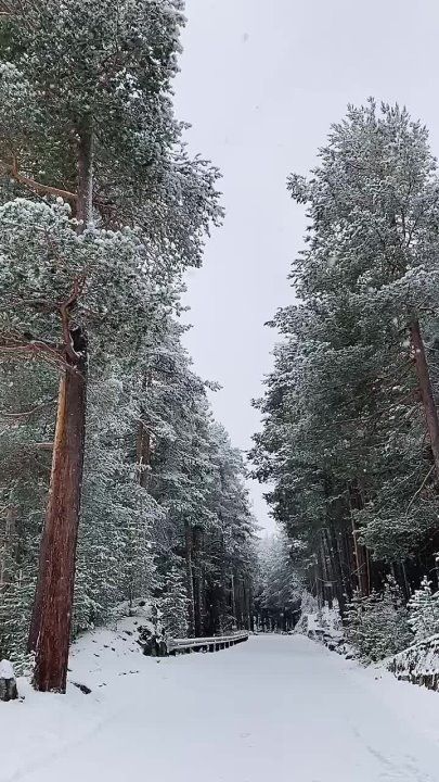 ������ ������ � ������������