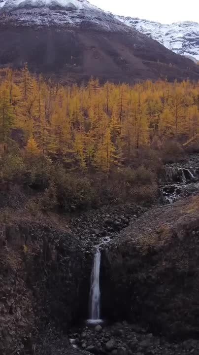 ����� �������� � ���� �� ����� ������� ���� �� �����