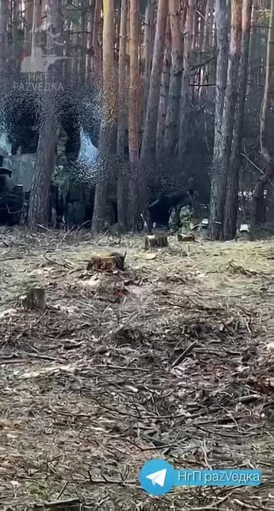 ������ ���� ����� ������ � �����