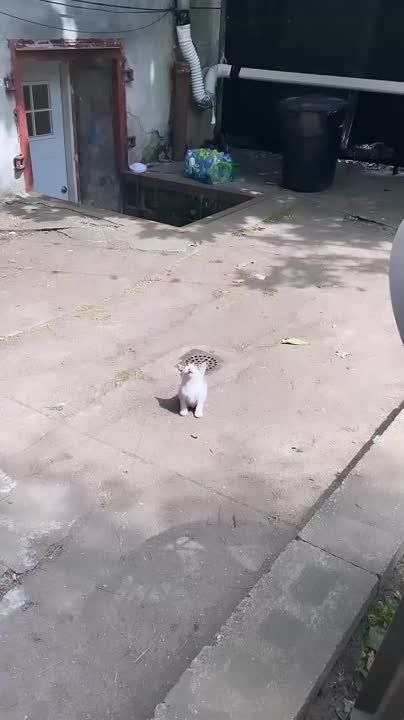 ������ �������, ������� ����������!