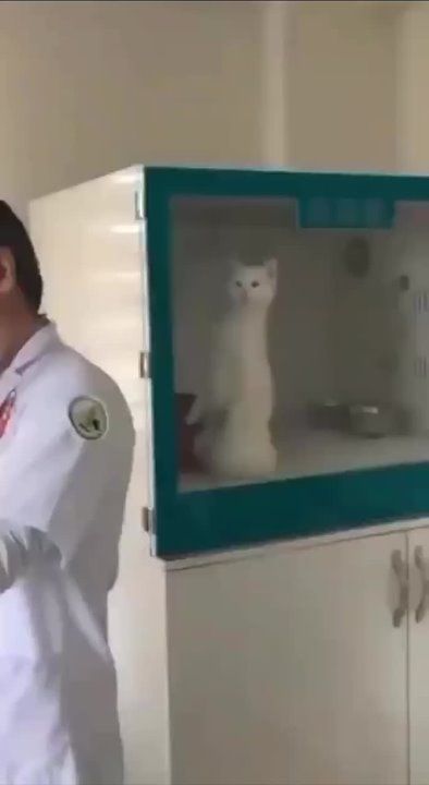 ������-�����������. �������������� ��
