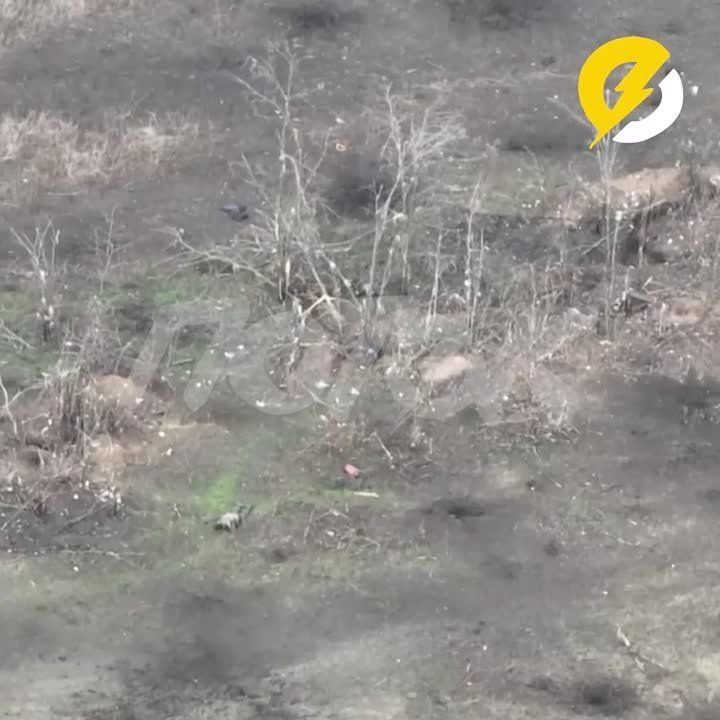 ��������� ������: ��� �������� ����� ��� ������� � ���� ����� ������� ������ ����� �������