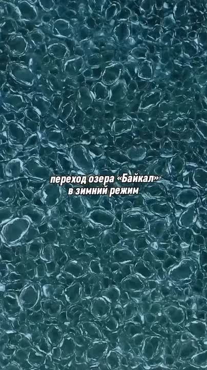 #�������������. ���������� ����� �������� ����� ������ � ������� �����