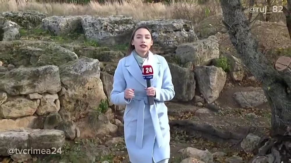 ����� 24� @tvcrimea24 ��� 8 ��� �������� ����� �� ����� � ������� ��������� ����� �� ����� ����� ����������� ��������� � ����������