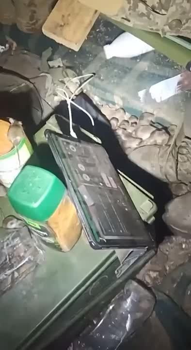 �������� � ������ �� ������ ����������� � ��������