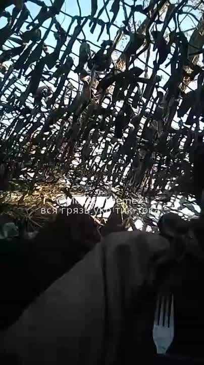 �����-������, �� �������� �������