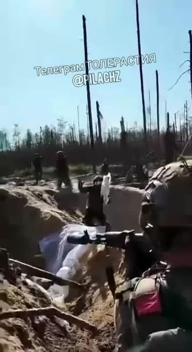 �����������, �, ������, �������� ���� ��������� �������! ������������� ��� ������������ � ��� ���, �� ��������������, ����������! ��, �����, ��������������, �����