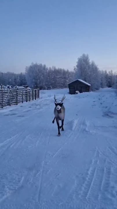 ������� ������ ��������������, ���������� � �����������, � �������� ����� �������!