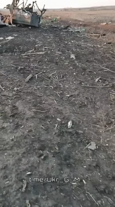 ������������� ������ ������������ ����� ��������� �� ����������� �����������