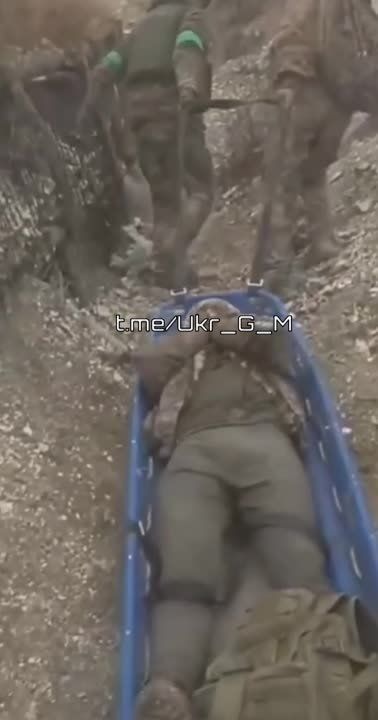 ����������� ���������� ����� ������� ������������ ������ �� ���� ����� ������!