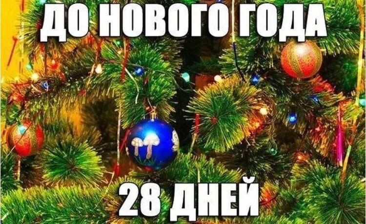 �������������. �������� ZaVtra. �������� ZaVtra ��� �������� ������