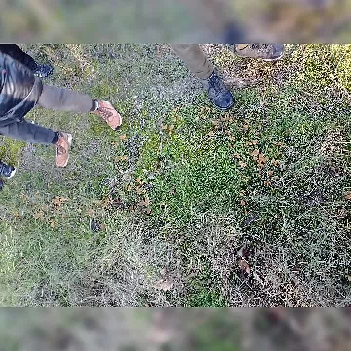������� 4 ������ ��������� ��� �������� ����� � ������ ���������� ��� �������������, ����� �� ������ �������