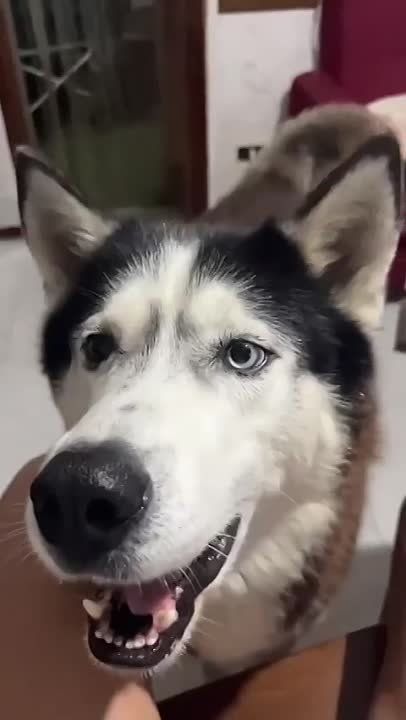 ������ �� ������ ����� ����� ���������� � �������� ��������� ����� ������������ ����������� ����� � ����������� ��������, �������� �����
