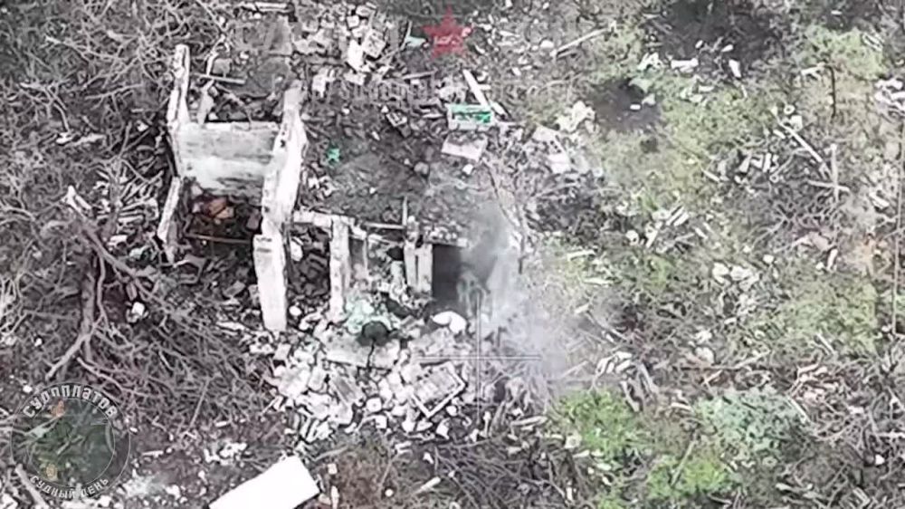 ����� �����: �������� ����� � ���������� �������, ����� ���� � ���������� ��� ����������� FPV-������ ������������� �����������