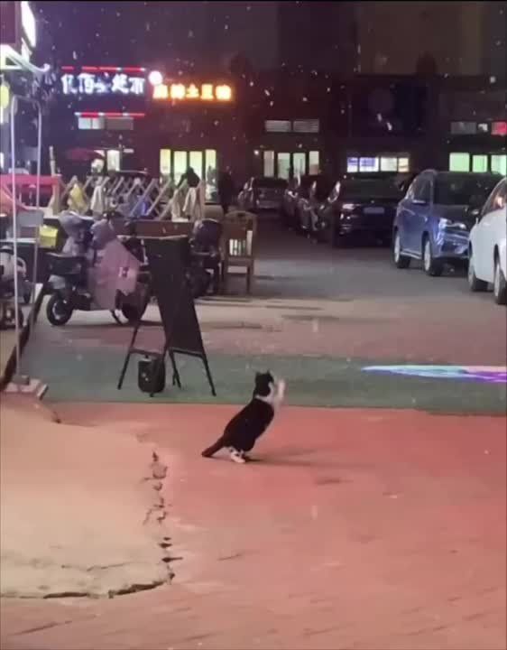 ������ ����������� ���������� ������ � �������!