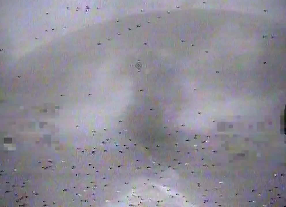 ����� ��������� ����������� ���-4� ���������� FPV-������ � ����������� ������ ����������� �������