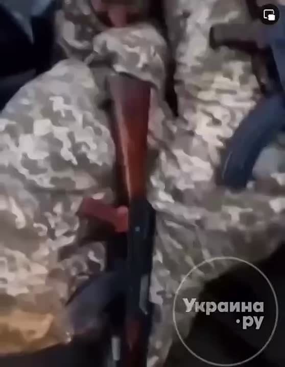 ����� ����� ���������� "������������" �����������