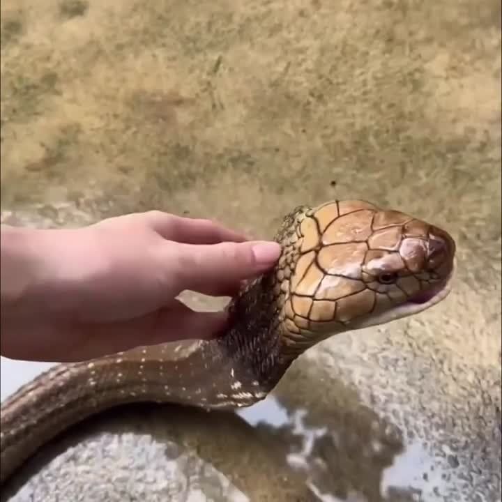 �����������, ����������� ����� ������� ������ ���������, �������� ��������� �� ������!