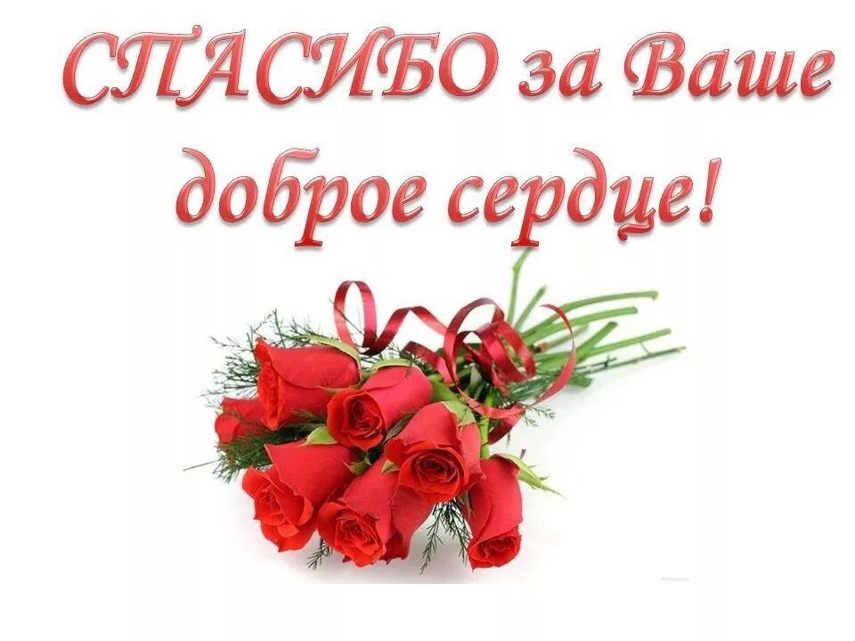 ������� ������ �������� ����������� ������������ , ��������� � ������������ ������������!
