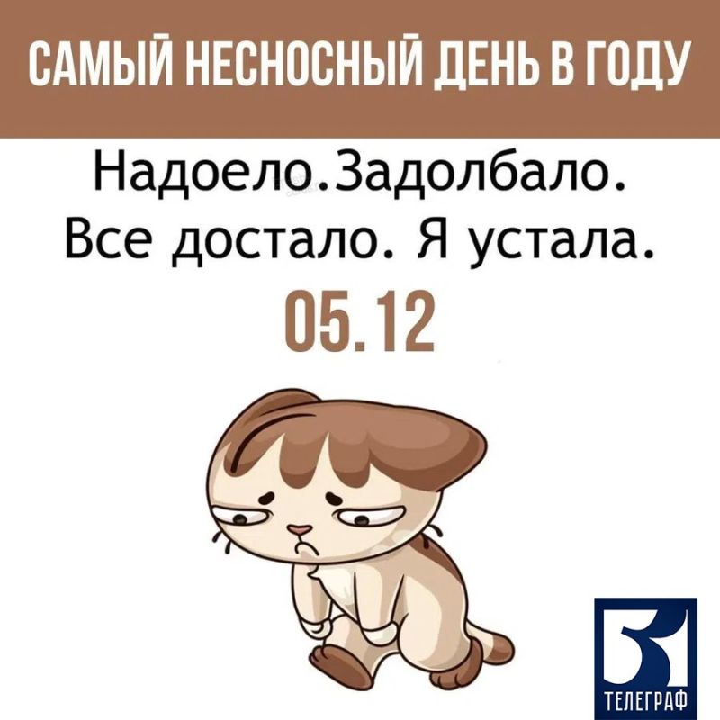 5 ������� � ����� ��������� ���� � ������