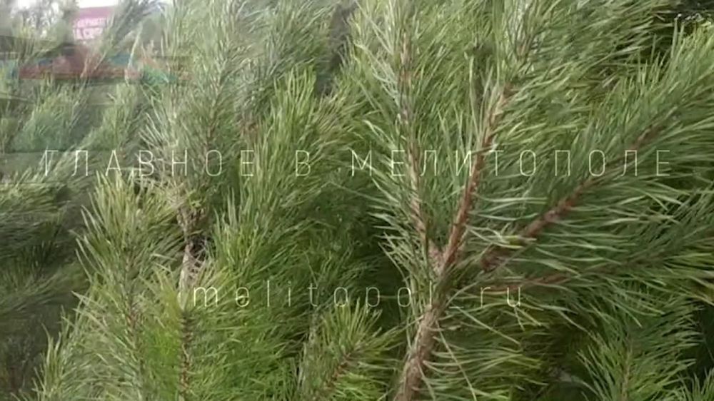 � ���������� �������� ������� ����