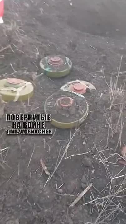 ������������� �� ���� ��� YPR-765 ��� �� ����������� �����������