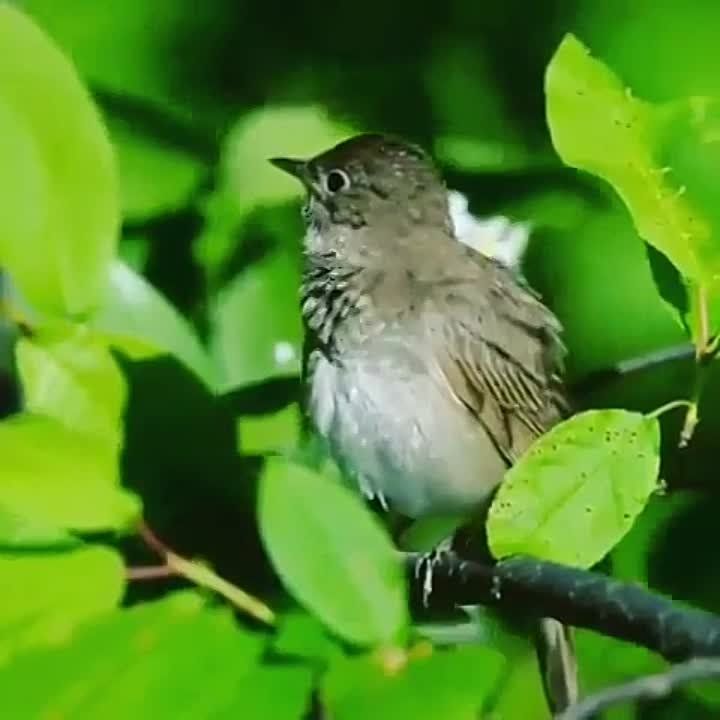 ������� ����� ���� ���������� ������� �������, ��� ���� ����� �����, ���� � ��������� ������