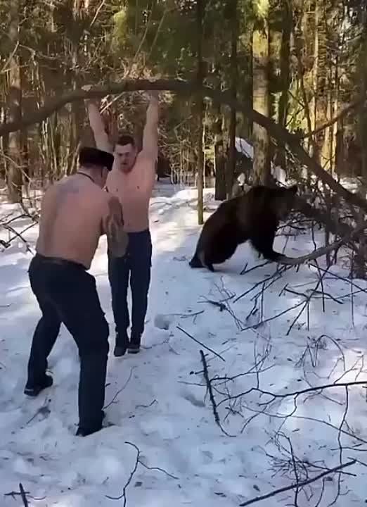�� Reddit ������� ������������ ������ �����, �� ������� ����������� ������ ������� ������ �� �������� ��������� � �������� ����������� ����������� ���
