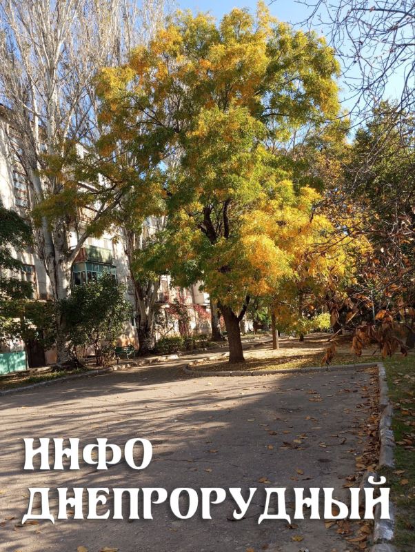 � ������� ������ ���, � ������ �����! ������ ���� ���� �������� ��� ������ �������, ������� � ��������� ������� ��������