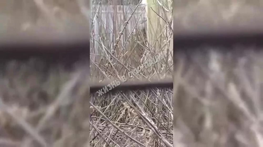 ������� ��� ���������� ������������ ������ ������� ������������� ����� ���������� �������