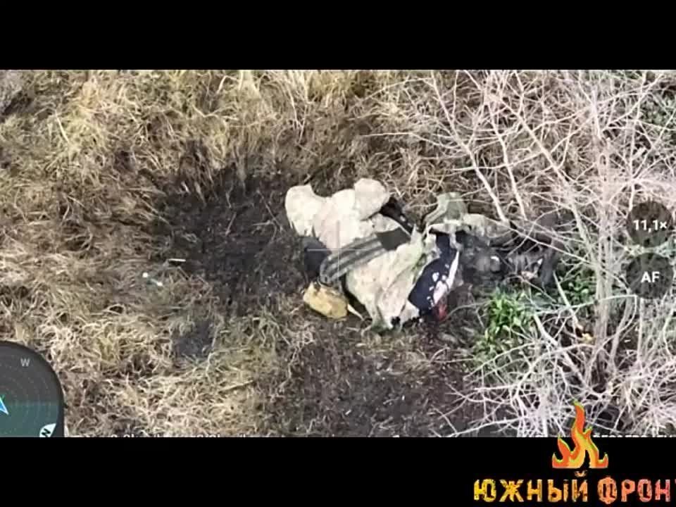 ��������� ���� �������� �������� ��� ������ ��� �� ���������� �����������
