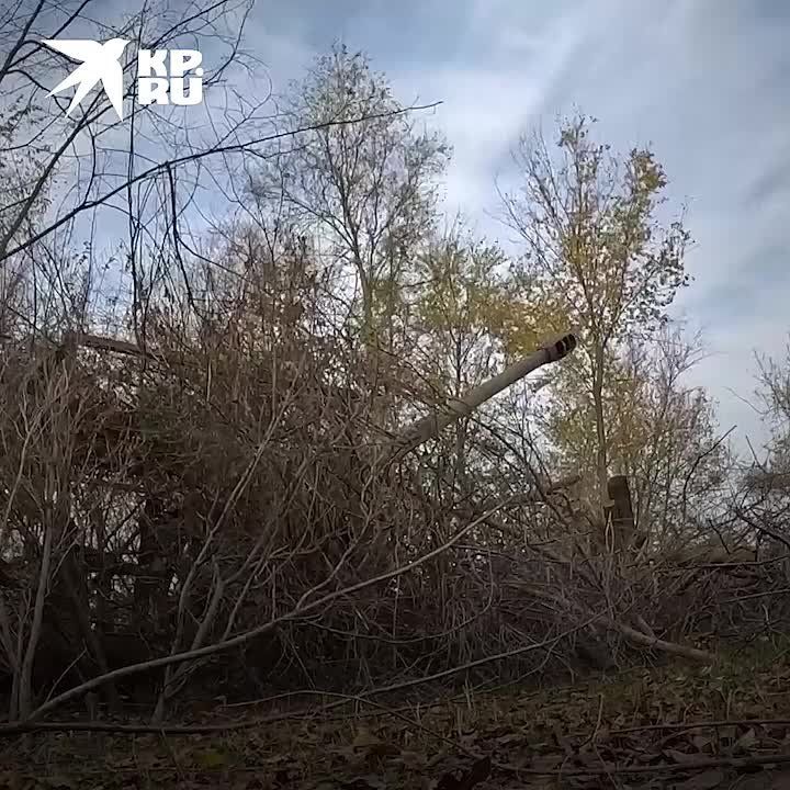 ���������� � ���� ��� �� ����������� ����������� 6 ������� 2023: �������� ����� ������� ��� � ������ ��������� � �������� ��������� ���������� � ������ ��������