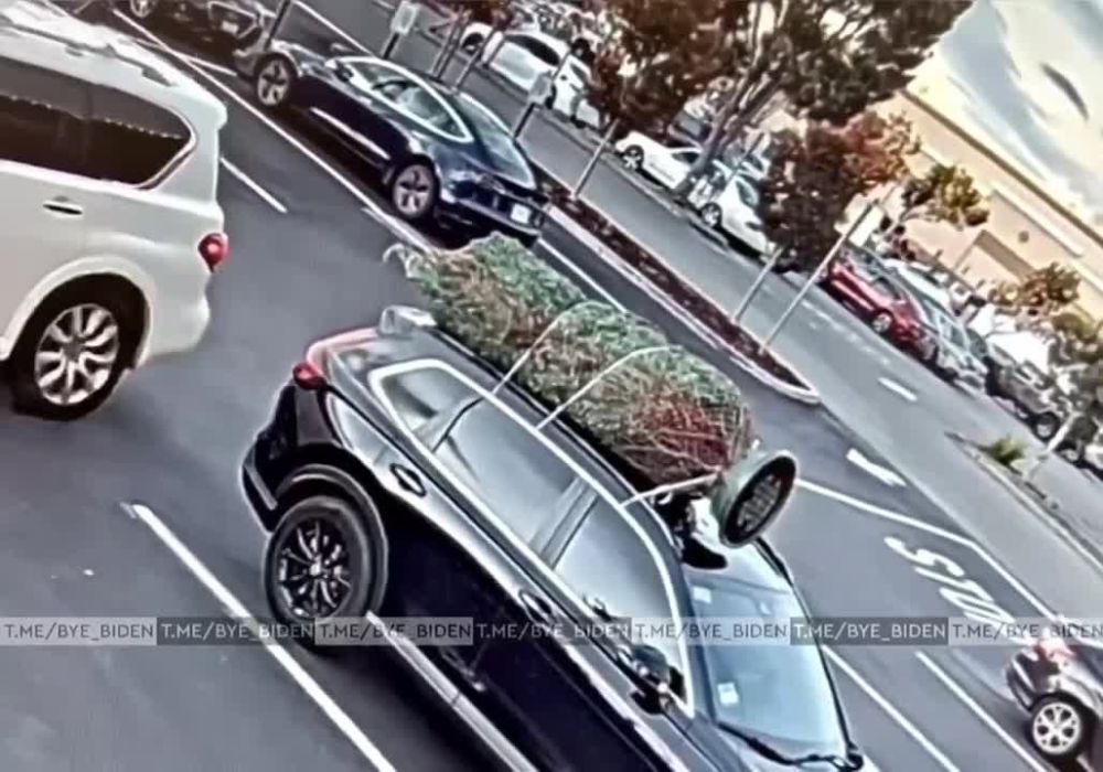 ����� ���������� ����� ���������