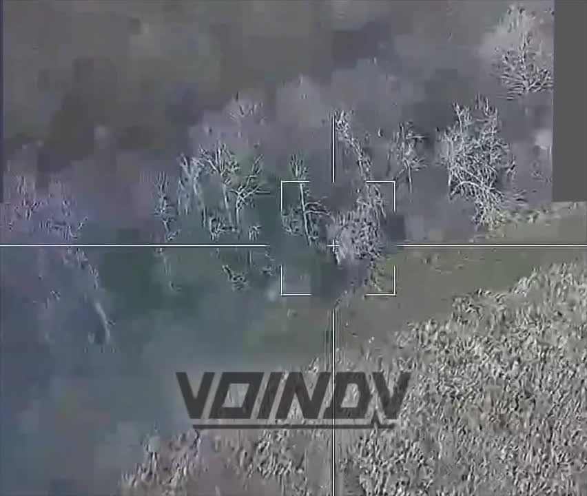 ��������� ������ �������������� ���������� ������� �� ����� ��� � ���� ������������