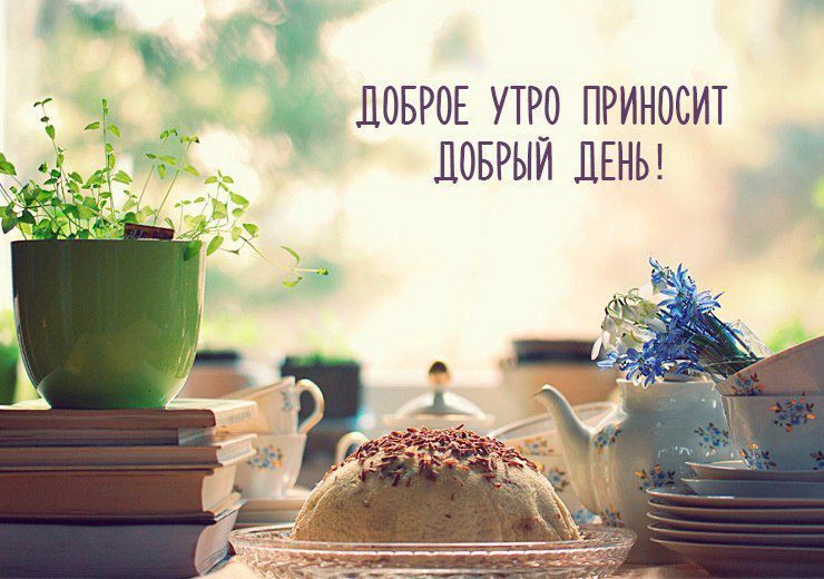 ������ ����