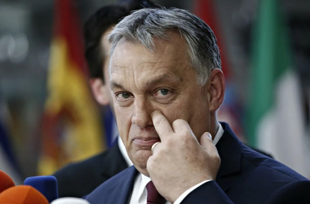 ������ ������� ������ ����������� � ���������� ������� ��������� ������ ���������� ������� � ��