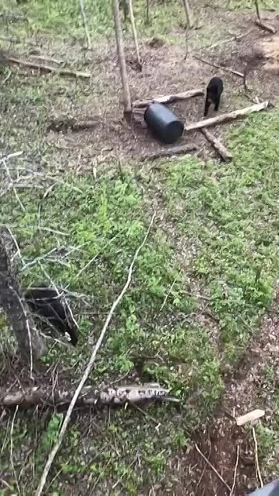 ��� �������� ������ � ������ �� ������, �� �� �������� �������, ������� � �������� ��������� ��������� � ���, �... ������ �� �������