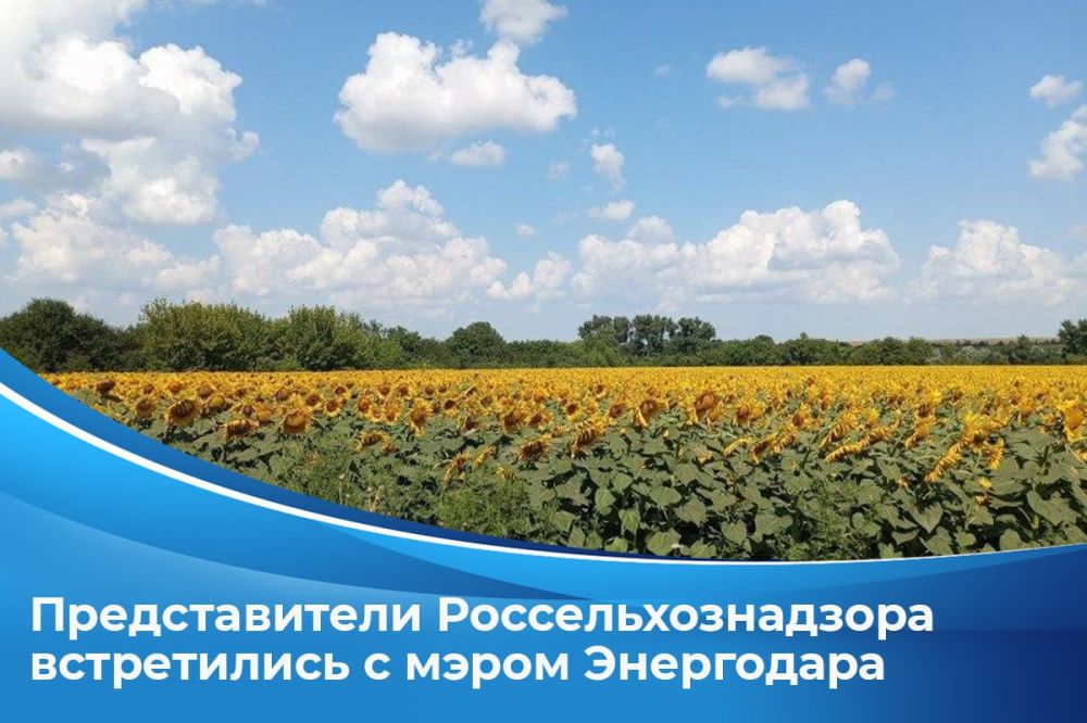 ������������� ���������� ����������������� ������� ������� � ������� ������� � ����� �. ��������� ����������� �������