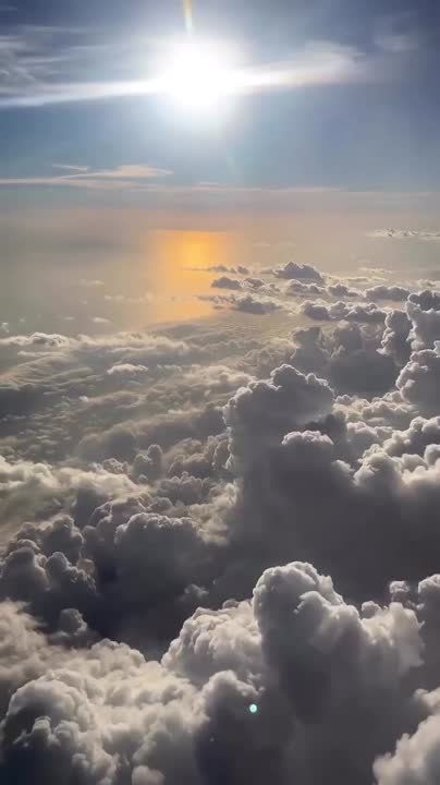 ������� ������ ��������������, ���������� � �����������, � ������ ��������� �����!