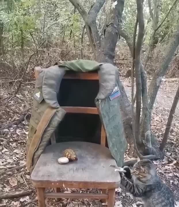 #��������_��_��_��. ���� � �������� "������" �������� ���������� �� ��������� � ��������������� ��������