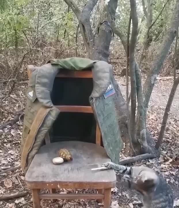 ��������� ���������� � �������� "������"