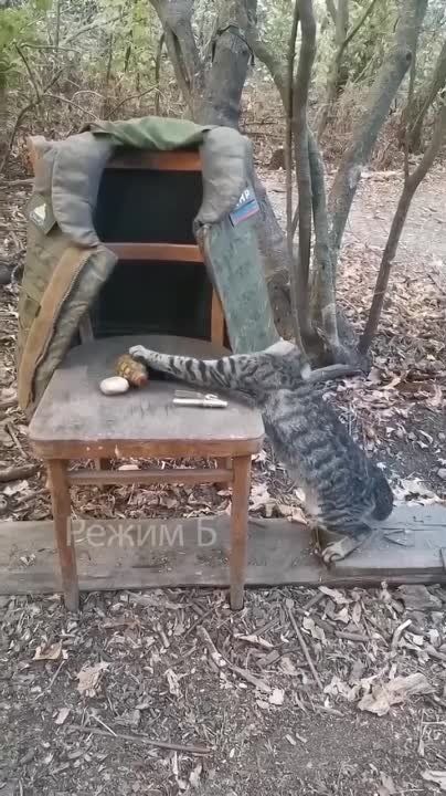 ������ ������ �������� � ����� � ���!