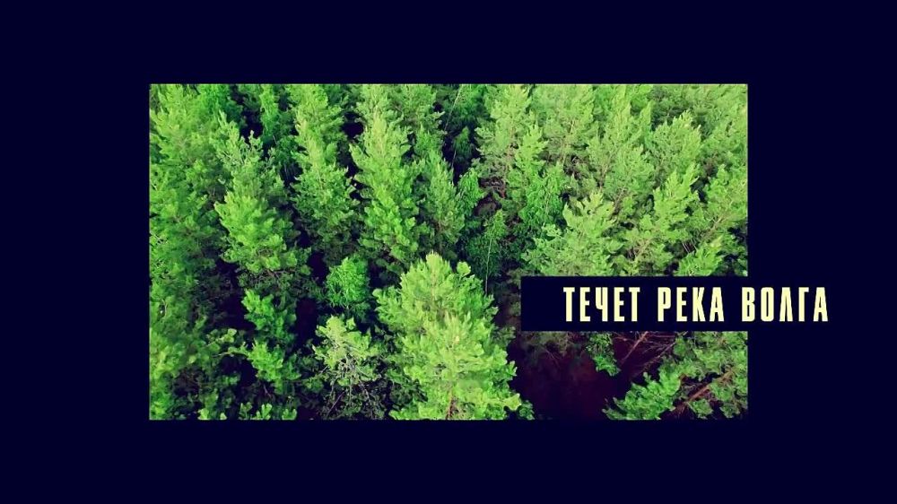 �������� �����. ���� ������ � �������� - ����� 149.200