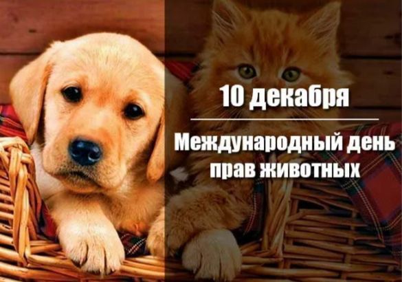 ������ ��� 10 ������� ���� �� ������ �������������� ������� �������� ������������� ���� ���� ��������, ��������� ��� ������� ������� � �������� �������� � ������ ���� ���������� �����