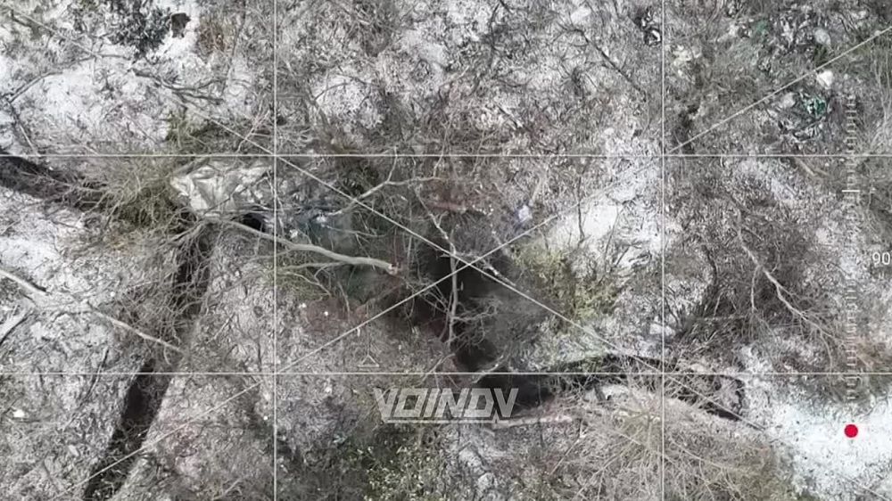 ��������� ���� 35 ����� ���������� �������� ����� � ������� ���. @voin_dv